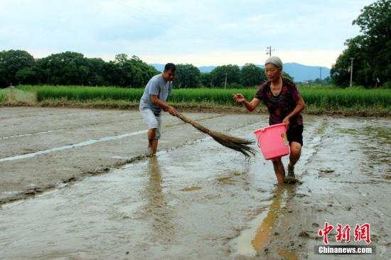 7月6日，永州市零陵区各受灾点干部群众正在进行灾后重建工作。卢文伟 摄
