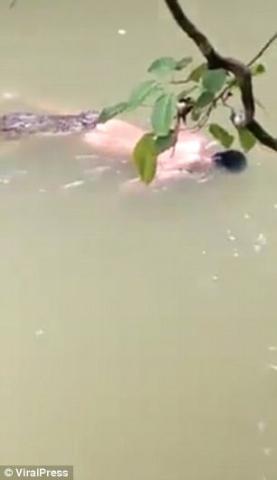 鳄鱼将裸身男子拖入水中 次日又将其尸体完好送回