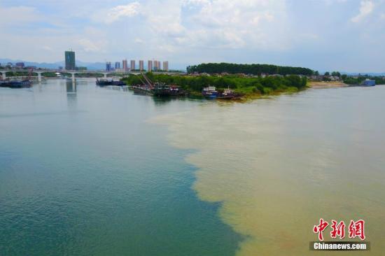 长江清江的分界线似一半水一半土。周星亮 摄