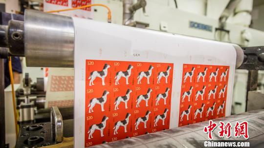     2017年8月2日下午，《戊戌年》特种邮票——生肖狗邮票在中国邮政集团公司邮票印制局开机印刷。　宋鹏飞　摄