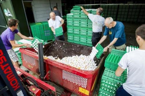 多国回收疑似被污染的鸡蛋。 图片来源：法新社