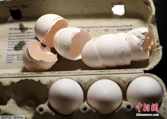 资料图：荷兰媒体报道，荷兰部分农场已使用混合的有害杀虫药长达超过1年，其中一家生产商的客户遍及英国、法国和波兰，但无证据显示在这三个国家出售的鸡蛋受到污染。NVWA表示正评估受影响农场数目，目前尚有600个样本正在检测，建议儿童不要进食最少27个农场出产的鸡蛋。（资料图）