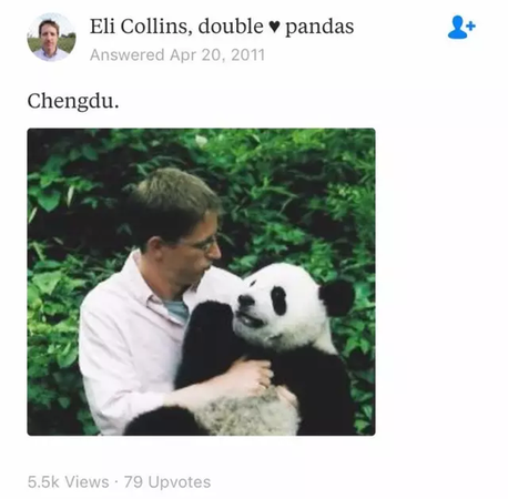 外国人喜欢胖达的神奇理由:熊猫是种族平等的象征
