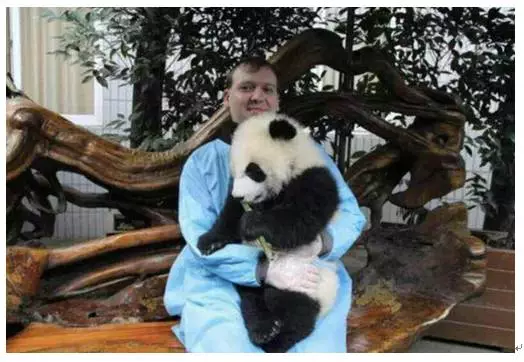 外国人喜欢胖达的神奇理由:熊猫是种族平等的象征