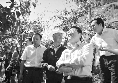 中央统战部副部长、全国工商联党组书记徐乐江（前排右一）、全国工商联副主席谢经荣（后排右一）、甘肃省工商联主席郝远（前排左一）在甘肃省和政县八八啤特果集团的果树基地调研。