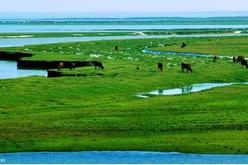 探索通向美丽中国的绿色崛起之路——来自鄱阳湖畔国家生态文明试验区的报告