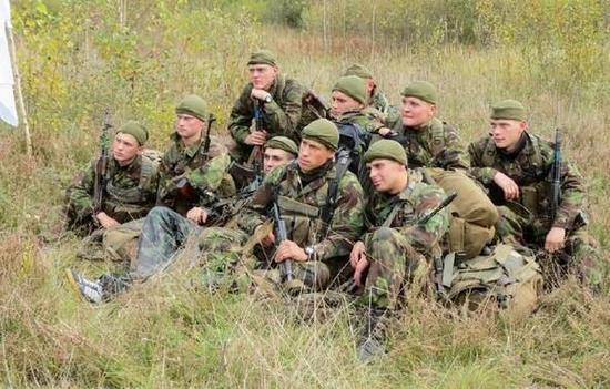 乌克兰军队养野猪做巡逻兵 遇陌生人接近会咕咕叫