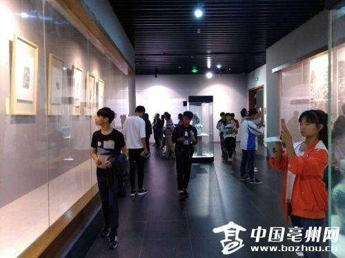 蒙城县博物馆拓片展现场，学生正在参观。