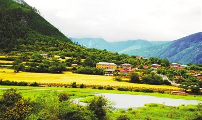 良好的生态环境 绝美的西藏江南