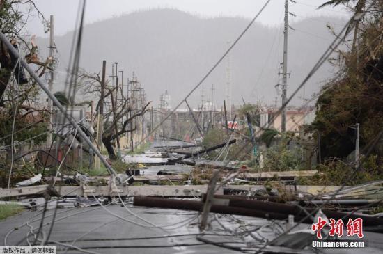 图为波多黎各乌马考，大风吹倒了电线杆和树木，街道上一片狼藉。