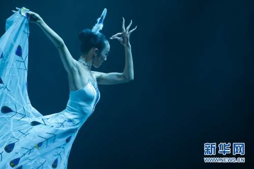 来自云南的演员表演傣族舞《雀之灵》。新华网发(弗尔季•奥蒂洛摄)