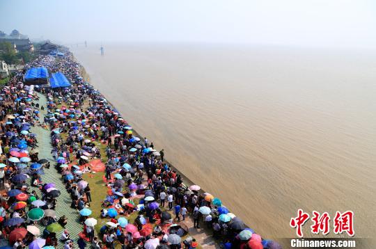 12.5万慕名而来的中外观潮游客翘首等待钱江潮。　王远 摄