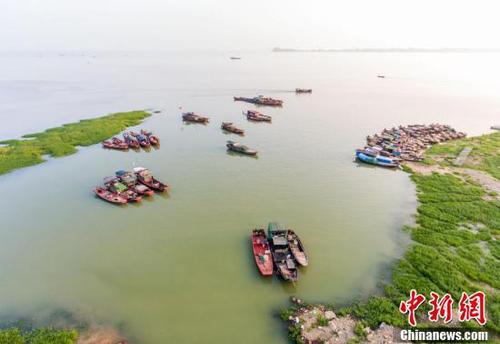 鄱阳湖5日起现今年首次长江水倒灌 利于渔业恢复