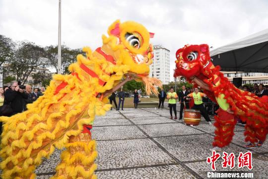图为圣保罗华星艺术团表演精彩的舞狮，庆祝“中国广场”和孔子雕像揭幕。　莫成雄 摄