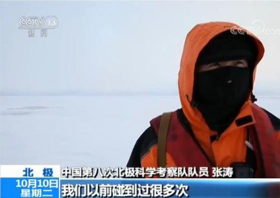 中国第八次北极科考完成 队员讲述防北极熊经历