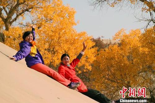 胡杨林“披黄挂金”吸引游客拍美照。　杨厚伟 摄