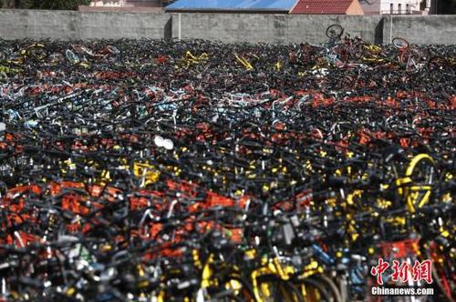 资料图：在上海静安区某违停非机动车堆放现场，上万辆各种颜色的共享单车被摆放的密密麻麻。 张亨伟 摄