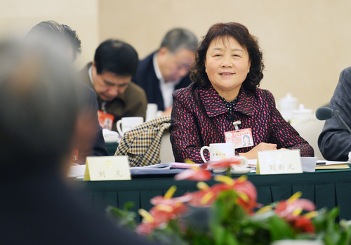 刘新文常委在分组讨论会上发言。