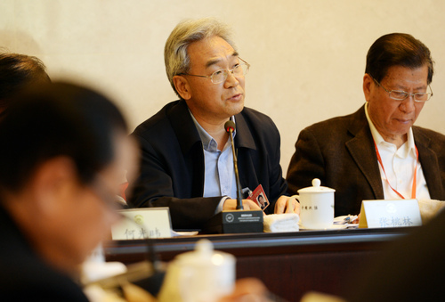 张桃林常委在分组讨论会上发言。