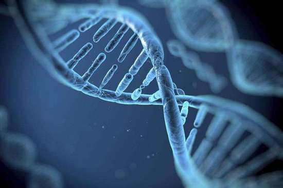新基因编辑工具 能纠正DNA中的拼写错误