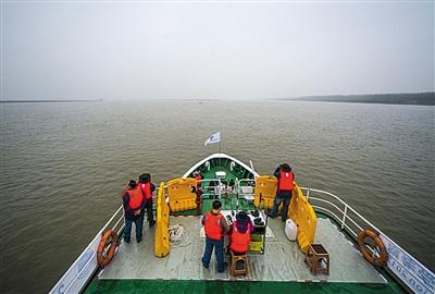 武汉至宜昌江段发现江豚165头次暂未发现“白鳍豚”