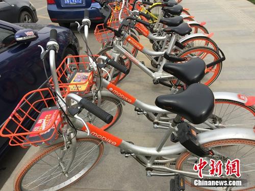 资料图：大街上的共享单车。<a target='_blank' href='http://www.chinanews.com/' >中新网</a> 吴涛 摄
