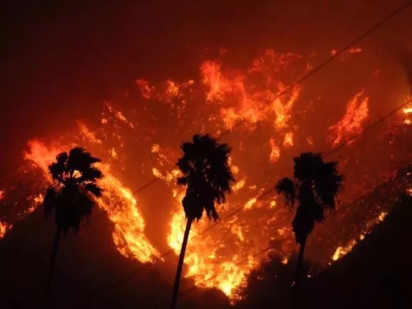 加州山火遮天蔽日洛杉矶告急 留学生:心很慌想回国