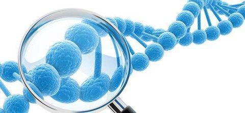基因检测的疾病种类有哪些？