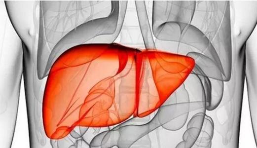 三个症状说明肝脏出问题了 再拖下去可能会恶化