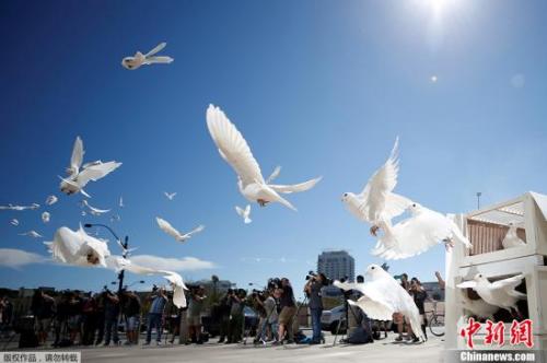 资料图：当地时间2017年10月7日，美国拉斯维加斯市政厅举行活动悼念枪击案遇难者，市政广场放飞白鸽。
