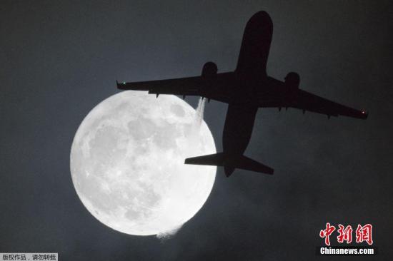 当地时间1月1日，伦敦希斯罗机场上空一架飞机从“超级月亮”下经过。