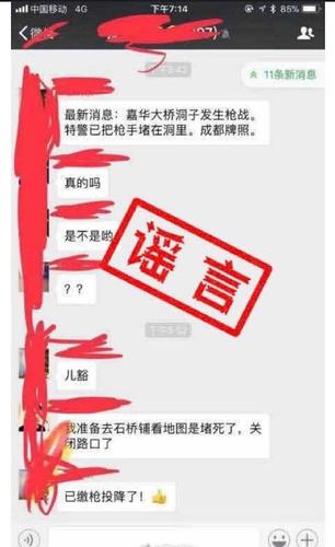 网传重庆嘉华大桥隧道内发生枪战 官方辟谣：假的