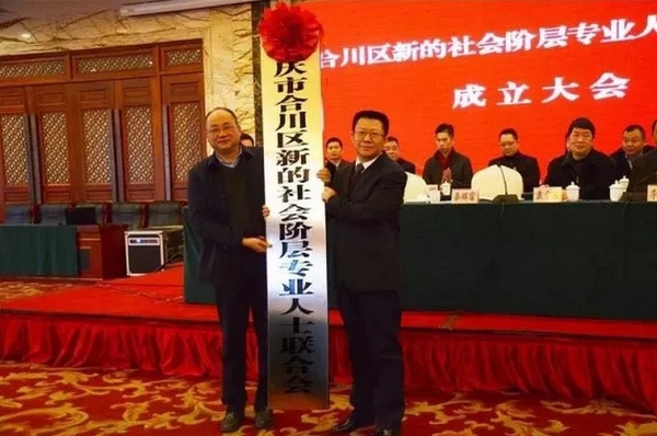重庆合川区成立新的社会阶层专业人士联合会