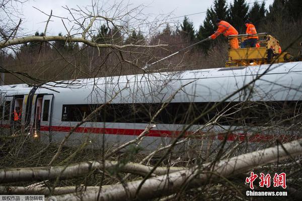 当地时间1月18日，飓风“弗里德里克”袭击德国全境，货车和重型起重机被掀翻，大风刮断大树导致列车运行受到影响。德国铁路公司当日发布消息，暂停全德长途列车运行。图为大树被飓风折断影响列车运行。