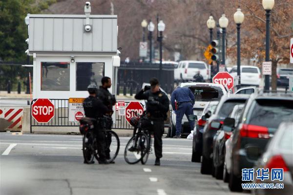 2月23日，在美国华盛顿白宫附近，一名执法人员在汽车撞击安全栅栏事件现场附近检查。
