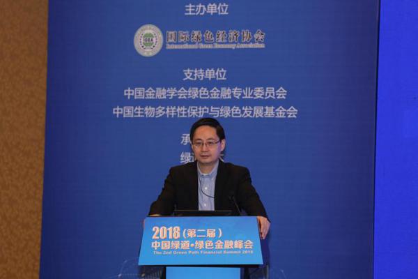 中国金融学会绿色金融专业委员会主任 马骏