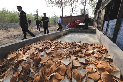 昨日，通州区北堤寺村，租户用面包片遮掩水槽内的泔水来躲避执法部门检查。