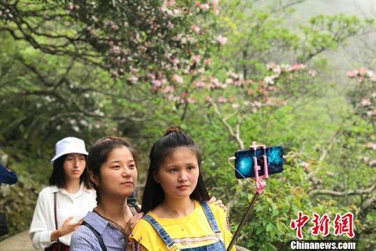 “五一”小长假期间，游客在黄山风景区拍照留念。　侯晏 摄