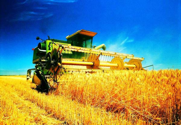 农业农村部:全国已收获小麦3260万亩
