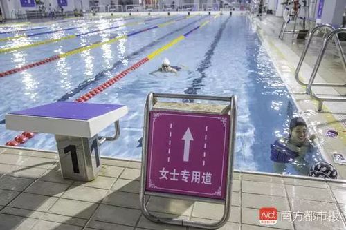 广州推出女性泳道网友吵翻天：说什么男女平等