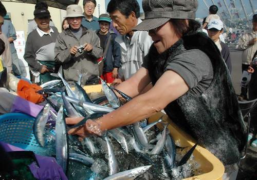 日媒:日本7月要提议秋刀鱼限量捕捞 中国必反对
