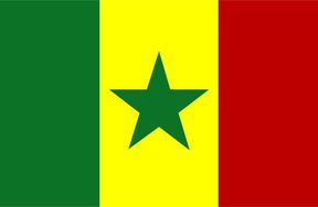 “习主席此访对两国关系的未来至关重要”——访塞内加尔总统马基·萨勒