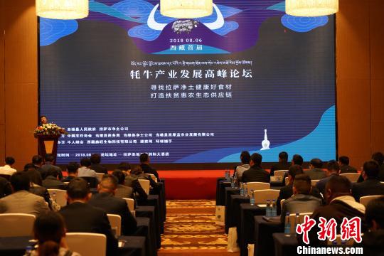 西藏举办牦牛产业发展论坛