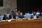 中国代表：应抓住叙利亚局势缓和机会重振政治进程