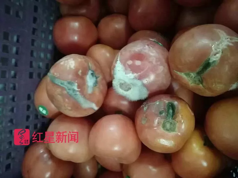 国际学校给学生吃霉番茄 食堂工作人员:送错地方了