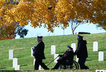 美国举行退伍军人日纪念活动