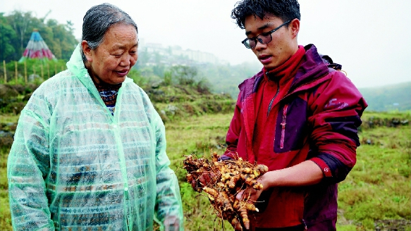 雷菊芳（左）在西藏林芝市墨脱县考察藏药材姜黄的生长情况