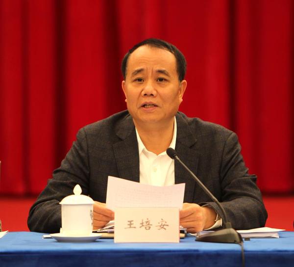 全国政协委员、中国计生协党组书记、常务副会长王培安在会上发言