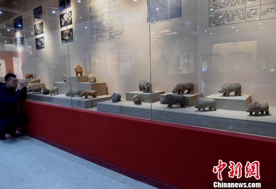重庆办《金猪贺岁》展千年“佩奇”邀市民博物馆里过文化年