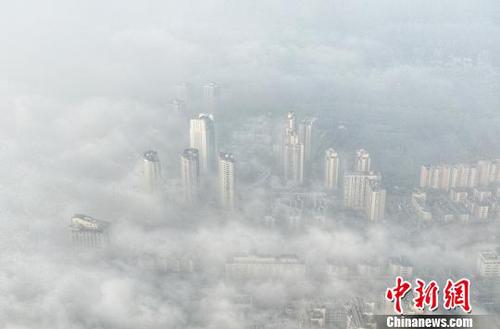 航拍浓雾下的南京。　泱波 摄